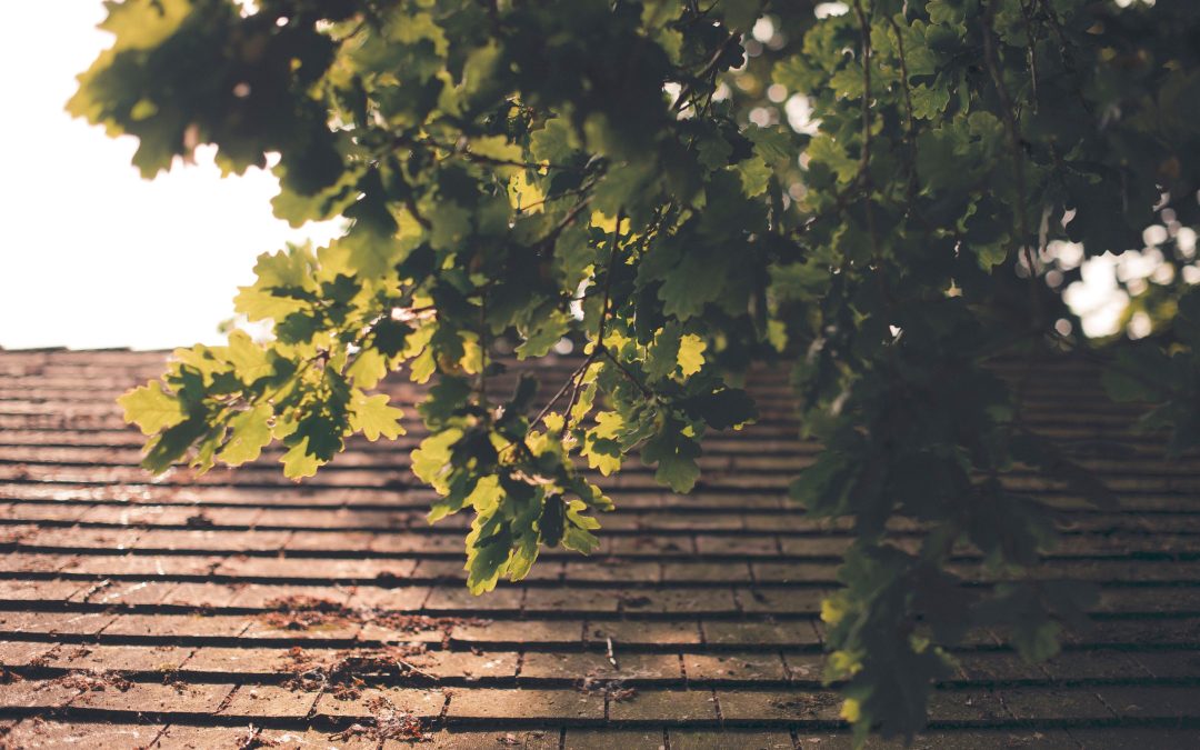 Summer Roofing Issues to Watch For