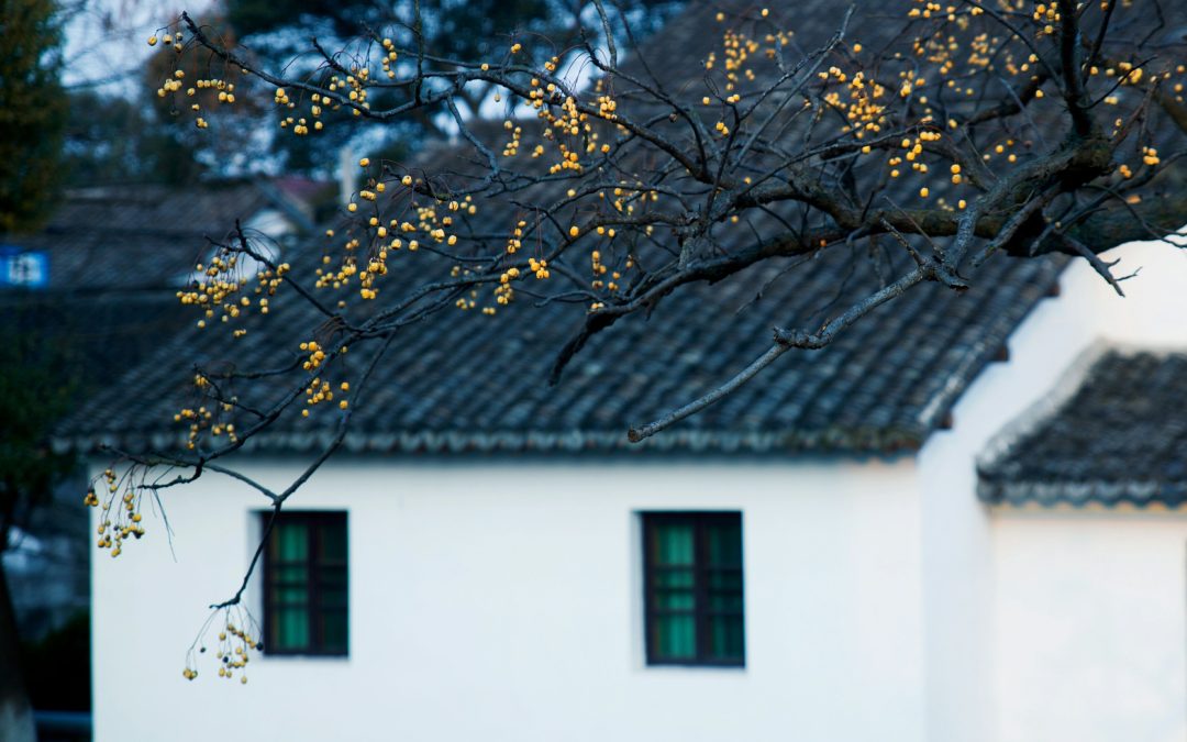 Fall Roof Inspection: Key Signs of Damage You Shouldn’t Ignore